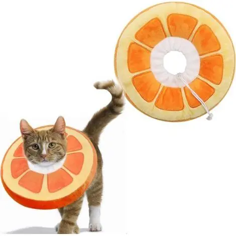 Collerettes pour Chats Chiens Collier de Protection Confort Ajustable Collerette de Postopératoire Récupération Anti-Morsure Protection (Orange, M)-ARCAN - Incontournable