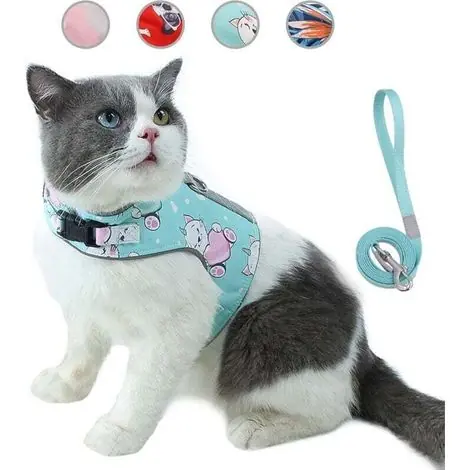 Ensemble harnais et laisse anti-fuite pour chat Ulisem, gilet réglable en maille souple, réfléchissant et respirant, avec carte anti-perte innovante (XS, cyan) - Derniers articles