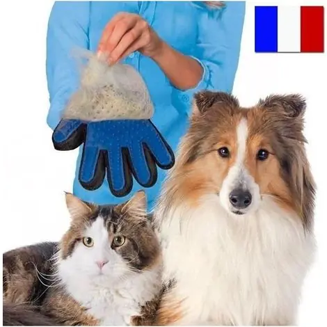 Derniers articles | 1. Gants de toilettage pour animaux, pour enlever les poils morts et masser les animaux, ajustables, adaptés aux chiens, chats, lapins et furets.