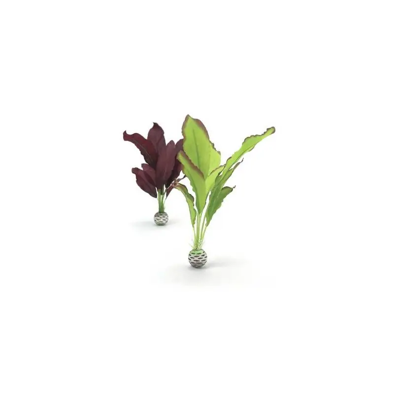 Coup de cœur | biOrb Set de plantes moyennes vertes & violettes
